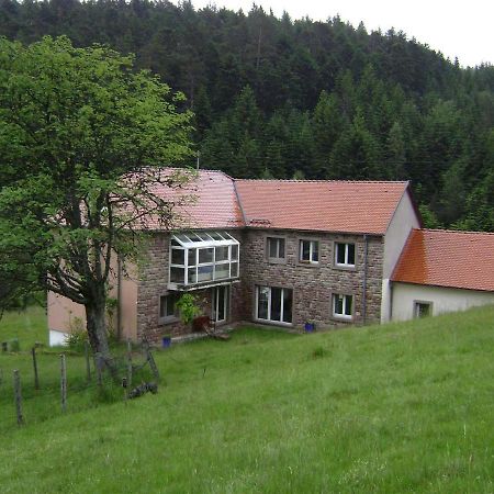 Gite Gretel De La Ferme Du Schneeberg Wangenbourg-Engenthal Eksteriør billede