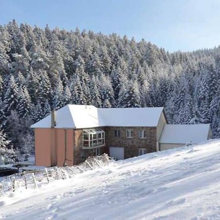 Gite Gretel De La Ferme Du Schneeberg Wangenbourg-Engenthal Eksteriør billede
