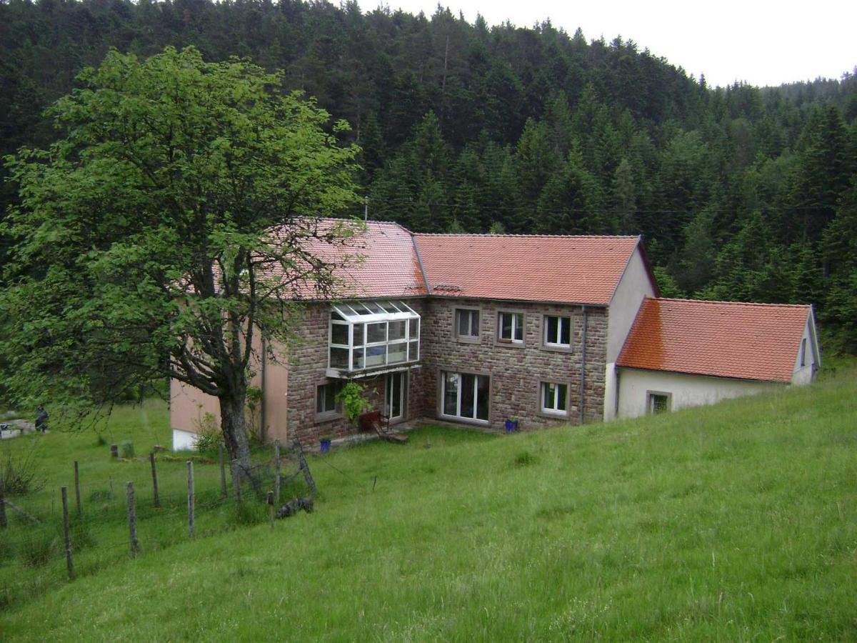 Gite Gretel De La Ferme Du Schneeberg Wangenbourg-Engenthal Eksteriør billede