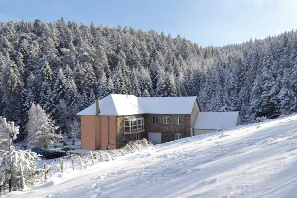 Gite Gretel De La Ferme Du Schneeberg Wangenbourg-Engenthal Eksteriør billede