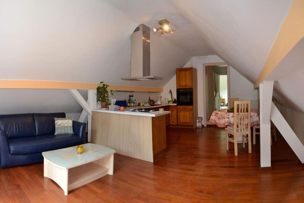 Gite Gretel De La Ferme Du Schneeberg Wangenbourg-Engenthal Eksteriør billede