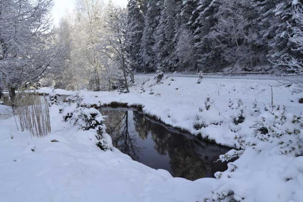 Gite Gretel De La Ferme Du Schneeberg Wangenbourg-Engenthal Eksteriør billede