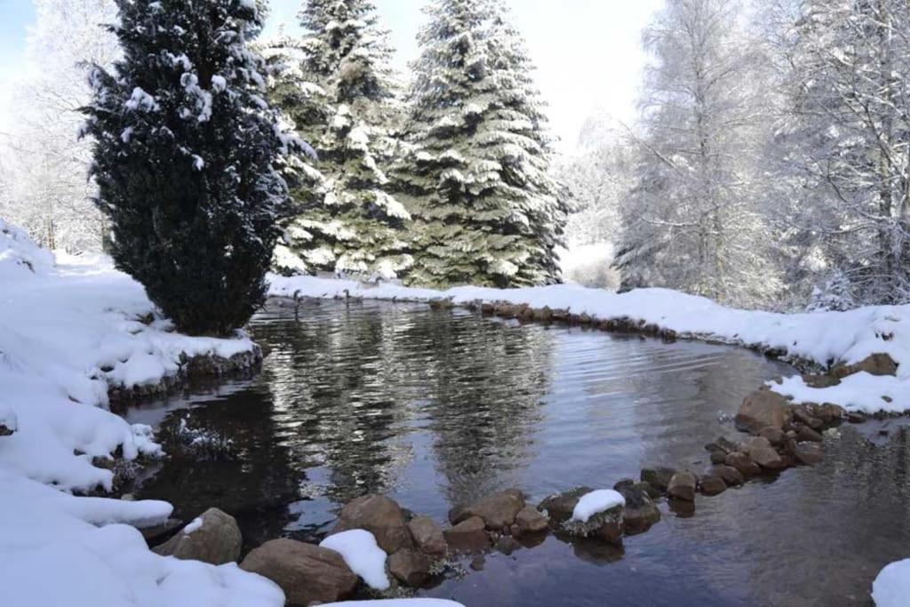 Gite Gretel De La Ferme Du Schneeberg Wangenbourg-Engenthal Eksteriør billede