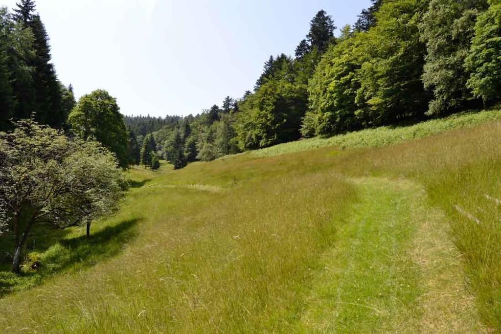 Gite Gretel De La Ferme Du Schneeberg Wangenbourg-Engenthal Eksteriør billede