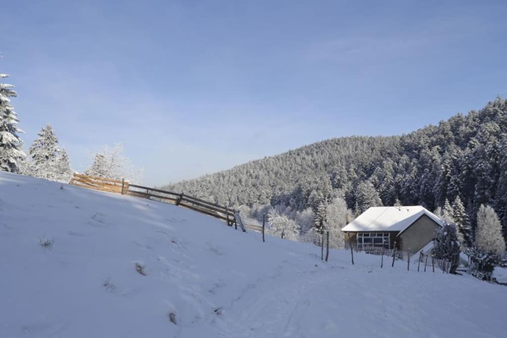 Gite Gretel De La Ferme Du Schneeberg Wangenbourg-Engenthal Eksteriør billede