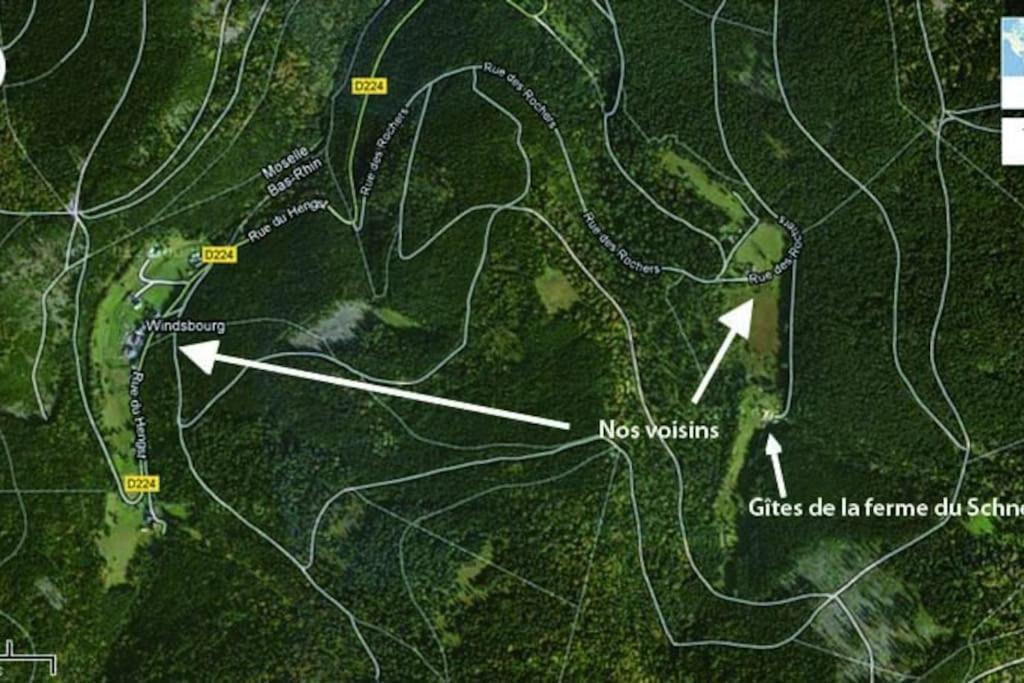 Gite Gretel De La Ferme Du Schneeberg Wangenbourg-Engenthal Eksteriør billede